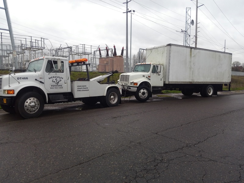 Placeholder badge for reviewers