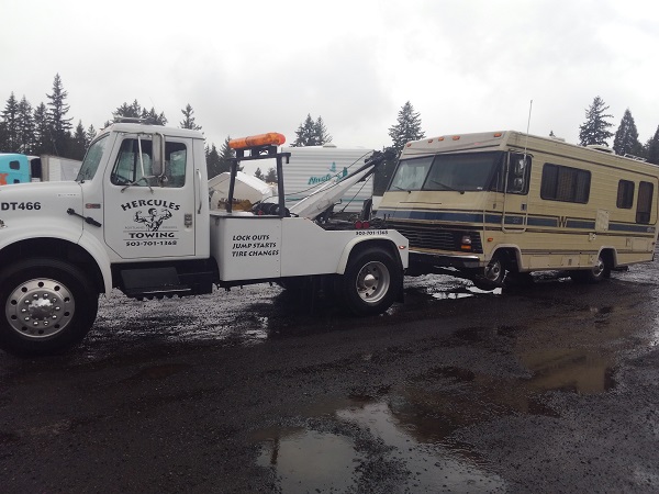 Placeholder badge for reviewers